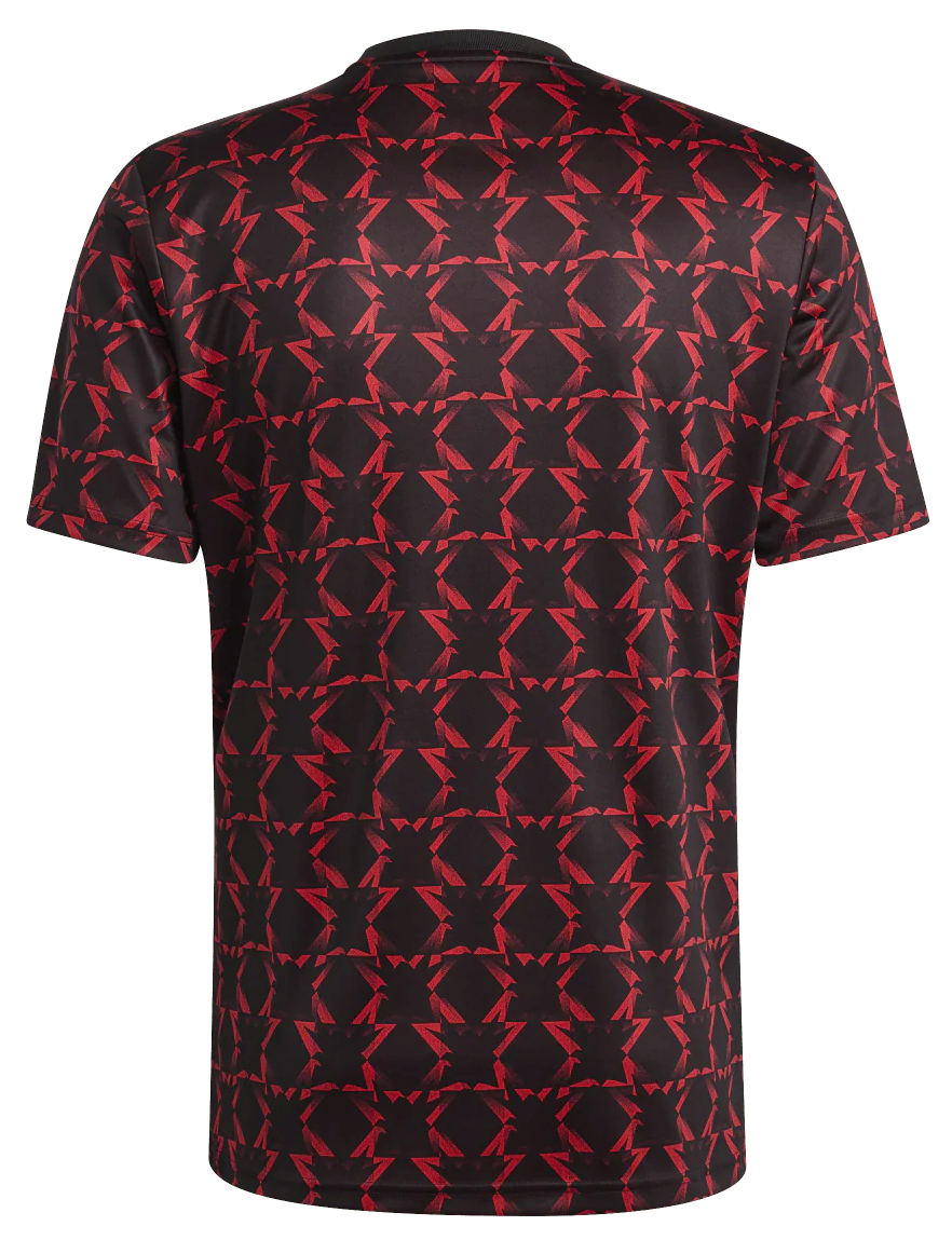 Men's Manchester United Pre-Match Jersey  IT1996